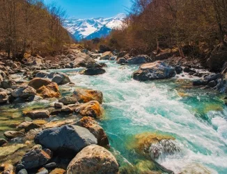 A captivating landscape picture of a fast-moving stream, surrounded by dense woods, leading the eye towards a majestic mountain in the background, capturing the harmony of flowing water, lush forests, and towering peaks.
