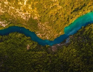  An aerial perspective of a winding river, snaking its way through a vast expanse of dense forest, highlighting the contrast of the river's flowing waters with the lush green canopy, showcasing nature's intricate design and beauty.